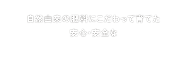 有限会社エコファーム